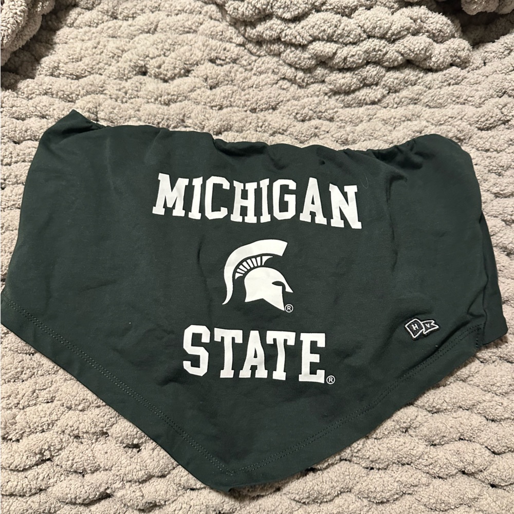 Michigan State tie tube top